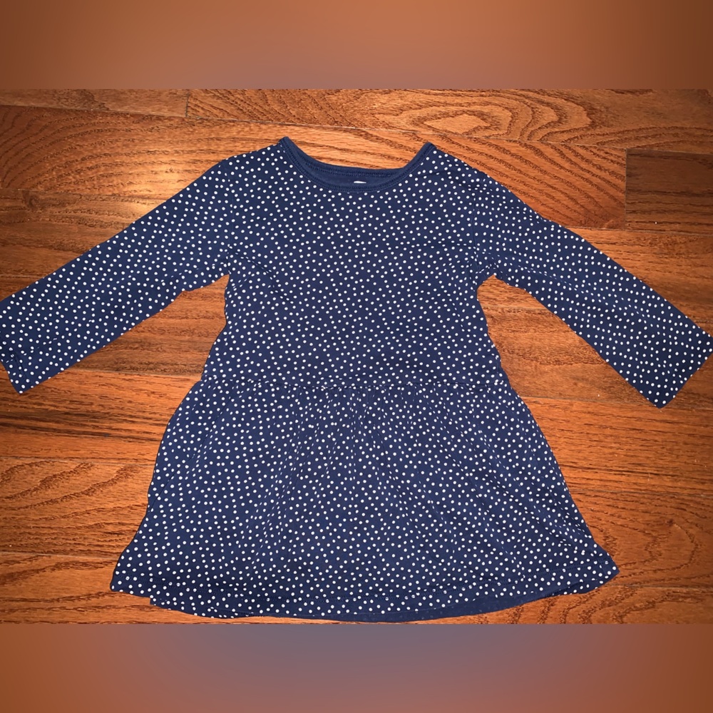Tea Collection Blue Fit and Flare Dress Long Sleeve Casual